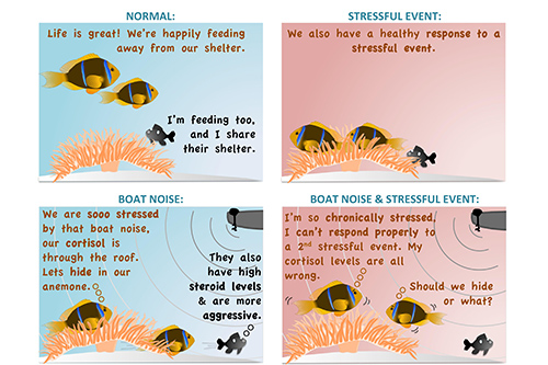 motorboat noise spelling